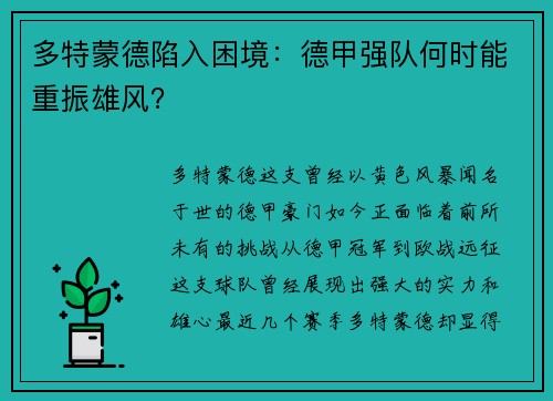 多特蒙德陷入困境：德甲强队何时能重振雄风？