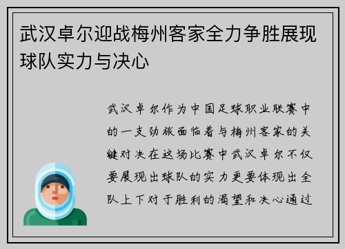 武汉卓尔迎战梅州客家全力争胜展现球队实力与决心